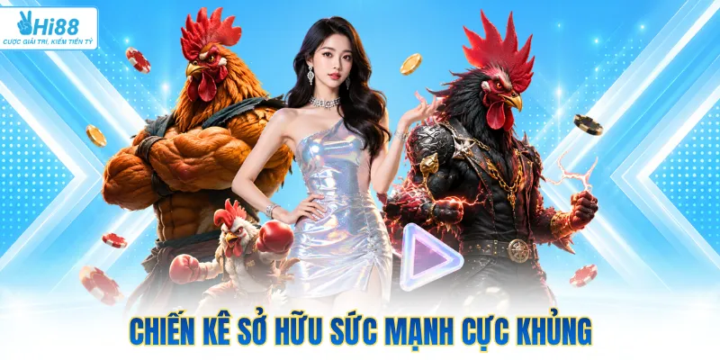 Chiến kê sở hữu sức mạnh cực khủng